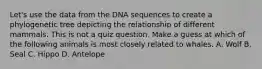 Let's use the data from the DNA sequences to create a phylogenetic tree depicting the relationship of different mammals. This is not a quiz question. Make a guess at which of the following animals is most closely related to whales. A. Wolf B. Seal C. Hippo D. Antelope