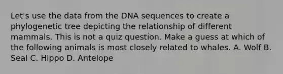 Let's use the data from the DNA sequences to create a phylogenetic tree depicting the relationship of different mammals. This is not a quiz question. Make a guess at which of the following animals is most closely related to whales. A. Wolf B. Seal C. Hippo D. Antelope