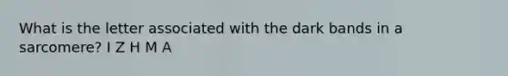 What is the letter associated with the dark bands in a sarcomere? I Z H M A