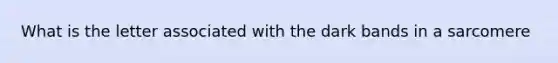 What is the letter associated with the dark bands in a sarcomere