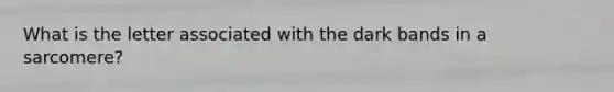 What is the letter associated with the dark bands in a sarcomere?