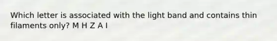 Which letter is associated with the light band and contains thin filaments only? M H Z A I