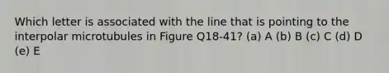 Which letter is associated with the line that is pointing to the interpolar microtubules in Figure Q18-41? (a) A (b) B (c) C (d) D (e) E