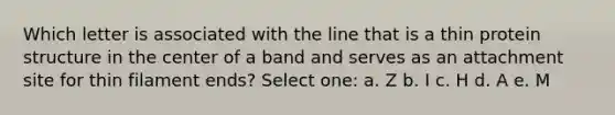 Which letter is associated with the line that is a thin protein structure in the center of a band and serves as an attachment site for thin filament ends? Select one: a. Z b. I c. H d. A e. M