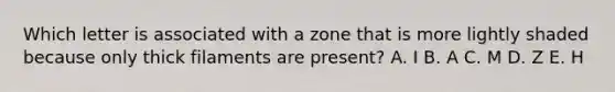 Which letter is associated with a zone that is more lightly shaded because only thick filaments are present? A. I B. A C. M D. Z E. H