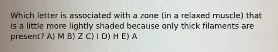 Which letter is associated with a zone (in a relaxed muscle) that is a little more lightly shaded because only thick filaments are present? A) M B) Z C) I D) H E) A