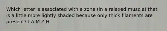 Which letter is associated with a zone (in a relaxed muscle) that is a little more lightly shaded because only thick filaments are present? I A M Z H