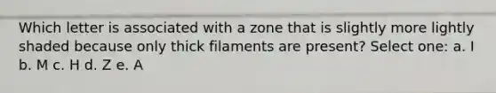 Which letter is associated with a zone that is slightly more lightly shaded because only thick filaments are present? Select one: a. I b. M c. H d. Z e. A