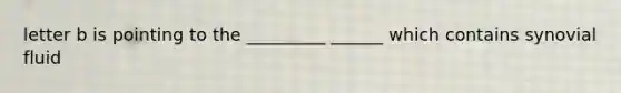 letter b is pointing to the _________ ______ which contains synovial fluid