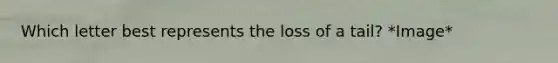 Which letter best represents the loss of a tail? *Image*