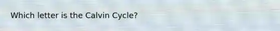 Which letter is the Calvin Cycle?