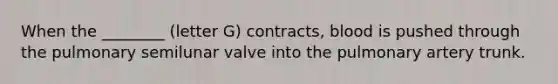When the ________ (letter G) contracts, blood is pushed through the pulmonary semilunar valve into the pulmonary artery trunk.