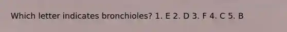 Which letter indicates bronchioles? 1. E 2. D 3. F 4. C 5. B