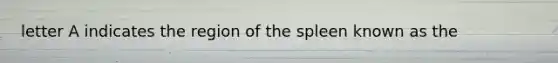 letter A indicates the region of the spleen known as the