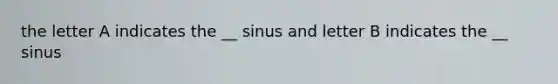 the letter A indicates the __ sinus and letter B indicates the __ sinus