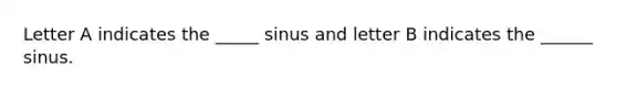 Letter A indicates the _____ sinus and letter B indicates the ______ sinus.