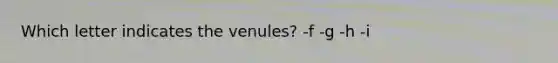Which letter indicates the venules? -f -g -h -i