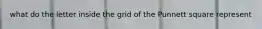 what do the letter inside the grid of the Punnett square represent