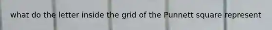 what do the letter inside the grid of the Punnett square represent