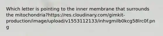 Which letter is pointing to the inner membrane that surrounds the mitochondria?https://res.cloudinary.com/gimkit-production/image/upload/v1553112133/inhvgmilb0kcg58lrc0f.png