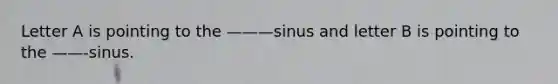 Letter A is pointing to the ———sinus and letter B is pointing to the ——-sinus.