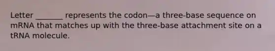 Letter _______ represents the codon—a three-base sequence on mRNA that matches up with the three-base attachment site on a tRNA molecule.