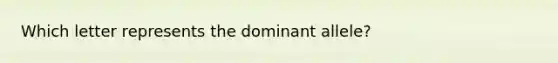 Which letter represents the dominant allele?