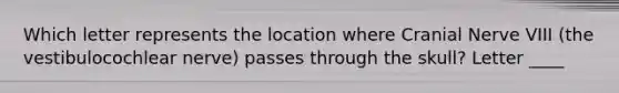 Which letter represents the location where Cranial Nerve VIII (the vestibulocochlear nerve) passes through the skull? Letter ____