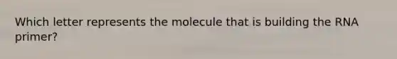 Which letter represents the molecule that is building the RNA primer?