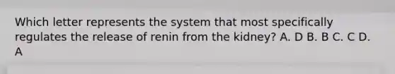 Which letter represents the system that most specifically regulates the release of renin from the kidney? A. D B. B C. C D. A