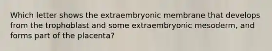 Which letter shows the extraembryonic membrane that develops from the trophoblast and some extraembryonic mesoderm, and forms part of the placenta?