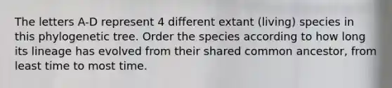 The letters A-D represent 4 different extant (living) species in this phylogenetic tree. Order the species according to how long its lineage has evolved from their shared common ancestor, from least time to most time.