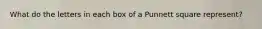 What do the letters in each box of a Punnett square represent?