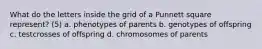 What do the letters inside the grid of a Punnett square represent? (5) a. phenotypes of parents b. genotypes of offspring c. testcrosses of offspring d. chromosomes of parents