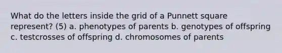 What do the letters inside the grid of a Punnett square represent? (5) a. phenotypes of parents b. genotypes of offspring c. testcrosses of offspring d. chromosomes of parents