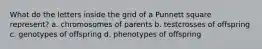 What do the letters inside the grid of a Punnett square represent? a. chromosomes of parents b. testcrosses of offspring c. genotypes of offspring d. phenotypes of offspring