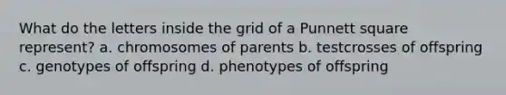 What do the letters inside the grid of a Punnett square represent? a. chromosomes of parents b. testcrosses of offspring c. genotypes of offspring d. phenotypes of offspring