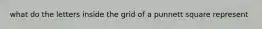 what do the letters inside the grid of a punnett square represent