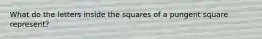 What do the letters inside the squares of a pungent square represent?