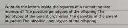 What do the letters inside the squares of a Punnett square represent? The possible genotypes of the offspring The genotypes of the parent organisms The gametes of the parent organism The possible phenotypes of the offspring