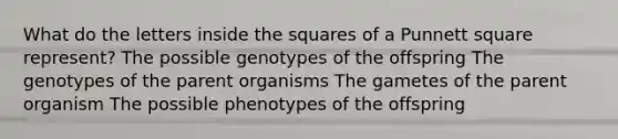 What do the letters inside the squares of a Punnett square represent? The possible genotypes of the offspring The genotypes of the parent organisms The gametes of the parent organism The possible phenotypes of the offspring