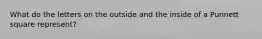 What do the letters on the outside and the inside of a Punnett square represent?