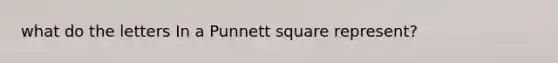 what do the letters In a Punnett square represent?