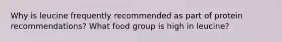 Why is leucine frequently recommended as part of protein recommendations? What food group is high in leucine?