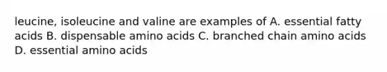 leucine, isoleucine and valine are examples of A. essential fatty acids B. dispensable amino acids C. branched chain amino acids D. essential amino acids