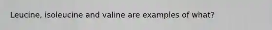 Leucine, isoleucine and valine are examples of what?