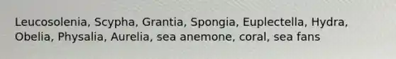 Leucosolenia, Scypha, Grantia, Spongia, Euplectella, Hydra, Obelia, Physalia, Aurelia, sea anemone, coral, sea fans