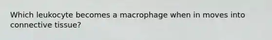 Which leukocyte becomes a macrophage when in moves into connective tissue?