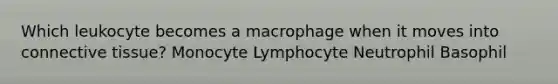 Which leukocyte becomes a macrophage when it moves into connective tissue? Monocyte Lymphocyte Neutrophil Basophil