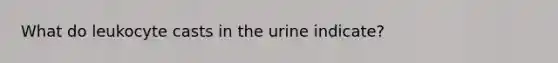 What do leukocyte casts in the urine indicate?